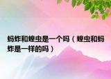 螞蚱和蝗蟲(chóng)是一個(gè)嗎（蝗蟲(chóng)和螞蚱是一樣的嗎）