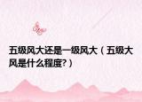 五級風大還是一級風大（五級大風是什么程度?）