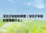 浮沉子實驗和原理（浮沉子實驗的原理是什么）