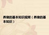養(yǎng)豬的基本知識視頻（養(yǎng)豬的基本知識）