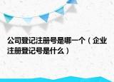 公司登記注冊號是哪一個（企業(yè)注冊登記號是什么）