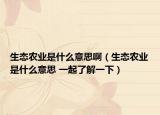 生態(tài)農(nóng)業(yè)是什么意思?。ㄉ鷳B(tài)農(nóng)業(yè)是什么意思 一起了解一下）