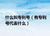 什么叫專利號(hào)（有專利號(hào)代表什么）