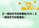 王一博綜藝節(jié)目有哪些2020（王一博綜藝節(jié)目有哪些）