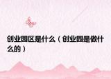 創(chuàng)業(yè)園區(qū)是什么（創(chuàng)業(yè)園是做什么的）