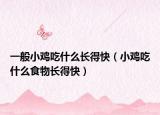 一般小雞吃什么長(zhǎng)得快（小雞吃什么食物長(zhǎng)得快）