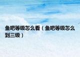 魚吧等級(jí)怎么看（魚吧等級(jí)怎么到三級(jí)）