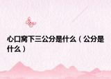 心口窩下三公分是什么（公分是什么）