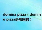domina pizza（domino pizza是哪國(guó)的）