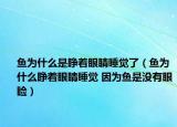 魚為什么是睜著眼睛睡覺了（魚為什么睜著眼睛睡覺 因?yàn)轸~是沒有眼瞼）