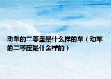 動(dòng)車的二等座是什么樣的車（動(dòng)車的二等座是什么樣的）