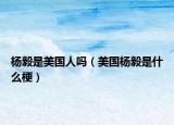 楊毅是美國(guó)人嗎（美國(guó)楊毅是什么梗）