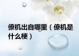 僚機(jī)出自哪里（僚機(jī)是什么梗）