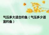 氣壓多大適合釣魚（氣壓多少適宜釣魚）