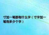 寸加一筆都有什么字（寸字加一筆有多少個字）