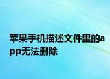 蘋果手機(jī)描述文件里的app無法刪除