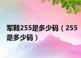 軍鞋255是多少碼（255是多少碼）
