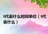 t代表什么時(shí)間單位（t代表什么）
