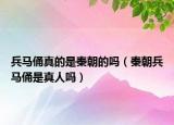 兵馬俑真的是秦朝的嗎（秦朝兵馬俑是真人嗎）