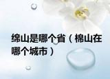 綿山是哪個(gè)?。奚皆谀膫€(gè)城市）