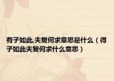 有子如此,夫復(fù)何求意思是什么（得子如此夫復(fù)何求什么意思）