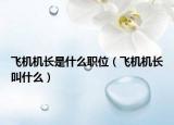 飛機(jī)機(jī)長(zhǎng)是什么職位（飛機(jī)機(jī)長(zhǎng)叫什么）
