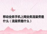移動(dòng)業(yè)務(wù)手機(jī)上網(wǎng)業(yè)務(wù)流量費(fèi)是什么（流量費(fèi)是什么）