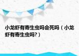 小龍蝦有寄生蟲嗎會死嗎（小龍蝦有寄生蟲嗎?）
