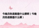 今晚月色很美是什么梗?。ń裢碓律苊朗鞘裁垂＃? /></span></a>
                        <h2><a href=