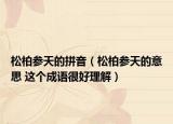 松柏參天的拼音（松柏參天的意思 這個成語很好理解）