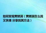 如何發(fā)現(xiàn)黃鱔洞（黃鱔洞怎么找又快準(zhǔn) 分享找其方法）