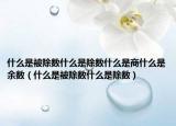 什么是被除數(shù)什么是除數(shù)什么是商什么是余數(shù)（什么是被除數(shù)什么是除數(shù)）