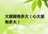 大猩猩有多大（心大星有多大）