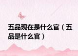 五品現(xiàn)在是什么官（五品是什么官）