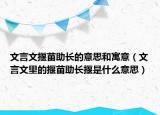 文言文揠苗助長(zhǎng)的意思和寓意（文言文里的揠苗助長(zhǎng)揠是什么意思）