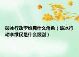 破冰行動(dòng)李維民什么角色（破冰行動(dòng)李維民是什么級(jí)別）