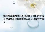 駱駝在沙漠為什么不會迷路（駱駝為什么在沙漠中不會眼睛里進入沙子分享給大家）
