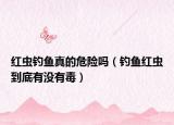 紅蟲(chóng)釣魚(yú)真的危險(xiǎn)嗎（釣魚(yú)紅蟲(chóng)到底有沒(méi)有毒）