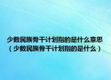 少數(shù)民族骨干計劃指的是什么意思（少數(shù)民族骨干計劃指的是什么）