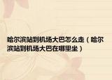 哈爾濱站到機(jī)場(chǎng)大巴怎么走（哈爾濱站到機(jī)場(chǎng)大巴在哪里坐）