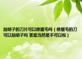 刮胡子的刀片可以修眉毛嗎（修眉毛的刀可以刮胡子嗎 答案當然是不可以啦）