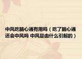 中風吃腦心通有用嗎（吃了腦心通還會中風嗎 中風是由什么引起的）