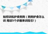 如何訓(xùn)練護(hù)食狗狗（狗狗護(hù)食怎么訓(xùn) 用這5個(gè)步驟來(lái)訓(xùn)練它!）