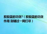 膠股藍的功效?（膠股藍的功效作用 別錯過一網打盡）