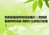 狗狗疫苗接種時間表圖片（狗狗疫苗接種時間表 狗狗什么時候打疫苗）