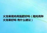 火龍果用雞糞施肥好嗎（用雞糞種火龍果好嗎 有什么建議）