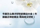 牛腩怎么做才好吃的做法大全（牛腩最正宗的做法 既簡單又好吃）