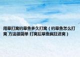 用草打窩釣草魚(yú)多久打窩（釣草魚(yú)怎么打窩 方法很簡(jiǎn)單 打窩后草魚(yú)瘋狂進(jìn)窩）