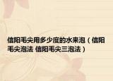 信陽毛尖用多少度的水來泡（信陽毛尖泡法 信陽毛尖三泡法）