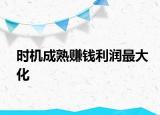 時(shí)機(jī)成熟賺錢利潤最大化